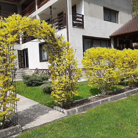 Pensiunea La Rachitele Exterior foto