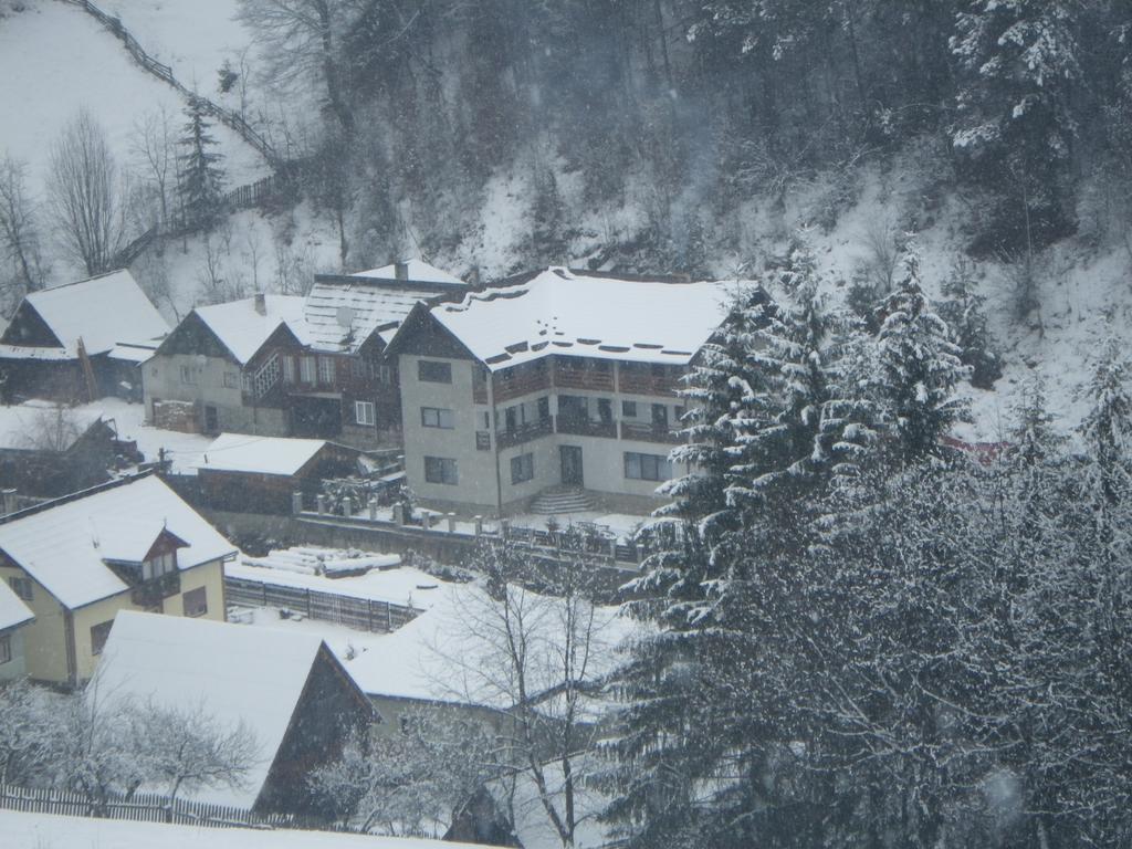 Pensiunea La Rachitele Exterior foto